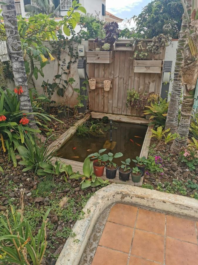 Jardin44 Lägenhet Santa Úrsula Exteriör bild